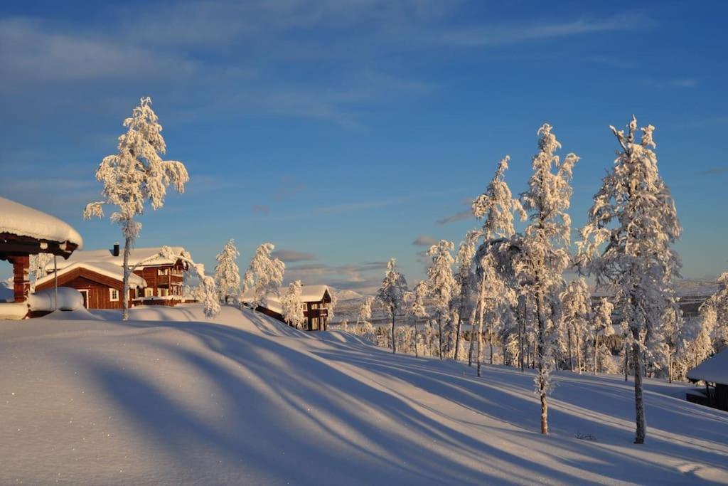 Flott Fritidsleilighet I Bualie Pa Golsfjellet Exteriör bild